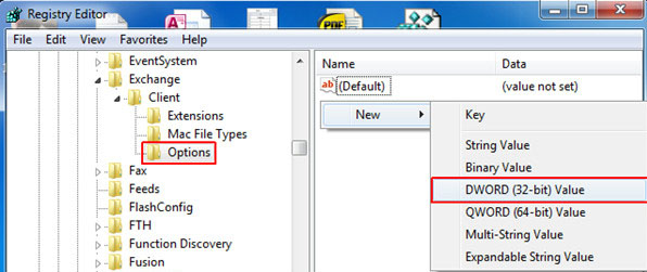 my computer hkey local machine software microsoft exchange client option